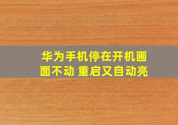 华为手机停在开机画面不动 重启又自动亮